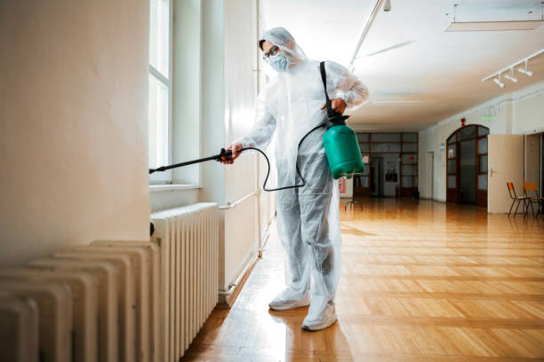 Best Fumigation Services  in Giddings, TX